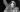 Miles Davis Porgy and Bess Review