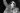 Miles Davis Porgy and Bess Review